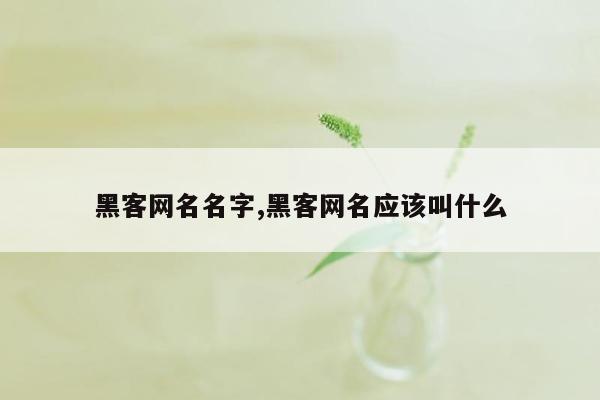 黑客网名名字,黑客网名应该叫什么