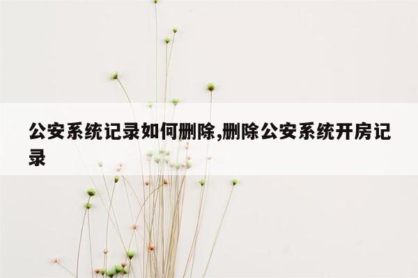 公安系统记录如何删除,删除公安系统开房记录