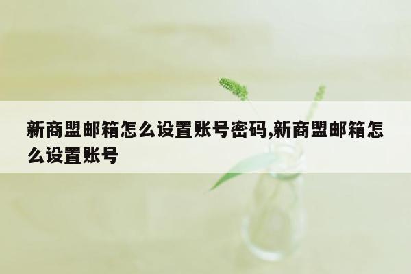 新商盟邮箱怎么设置账号密码,新商盟邮箱怎么设置账号