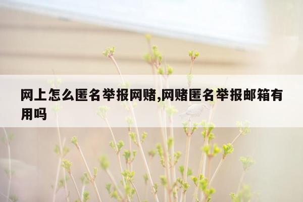 网上怎么匿名举报网赌,网赌匿名举报邮箱有用吗