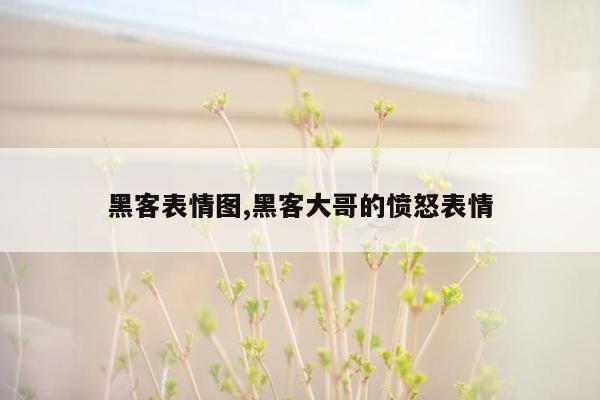 黑客表情图,黑客大哥的愤怒表情