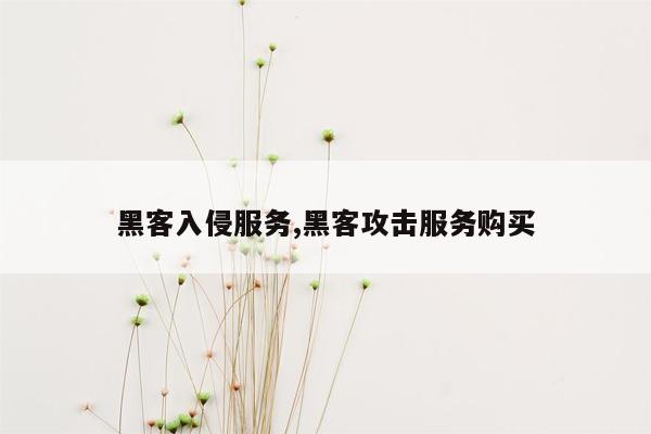 黑客入侵服务,黑客攻击服务购买