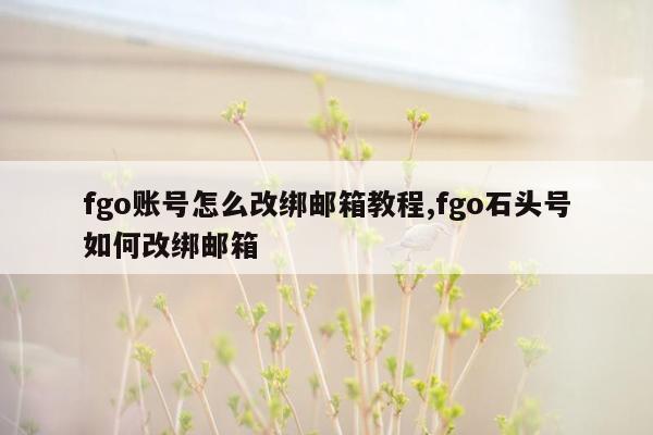 fgo账号怎么改绑邮箱教程,fgo石头号如何改绑邮箱