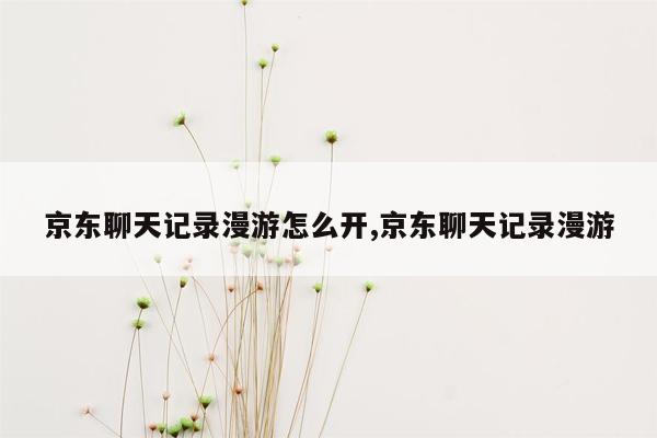 京东聊天记录漫游怎么开,京东聊天记录漫游