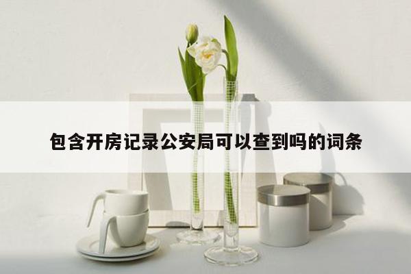 包含开房记录公安局可以查到吗的词条