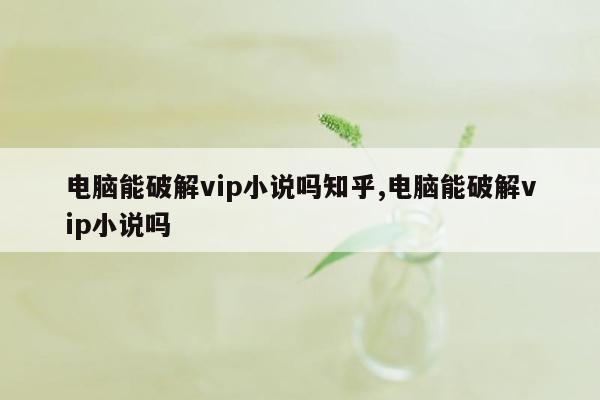 电脑能破解vip小说吗知乎,电脑能破解vip小说吗