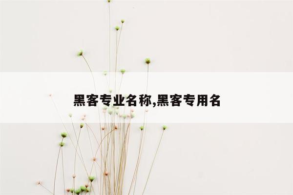 黑客专业名称,黑客专用名