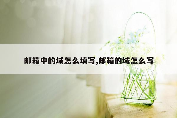 邮箱中的域怎么填写,邮箱的域怎么写