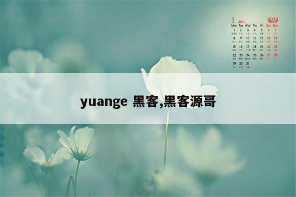 yuange 黑客,黑客源哥