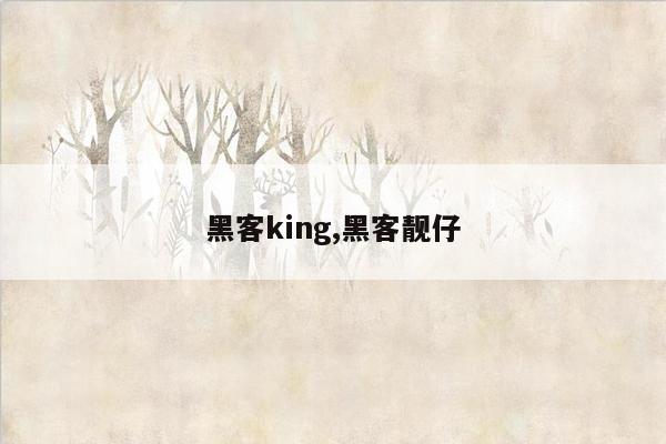 黑客king,黑客靓仔