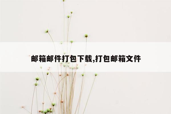 邮箱邮件打包下载,打包邮箱文件