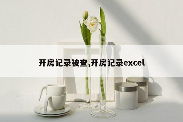 开房记录被查,开房记录excel