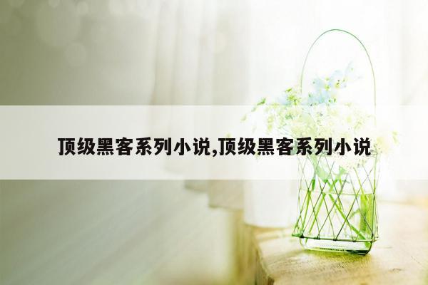 顶级黑客系列小说,顶级黑客系列小说