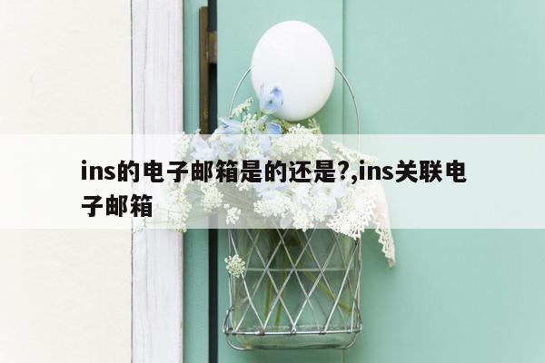 ins的电子邮箱是的还是?,ins关联电子邮箱