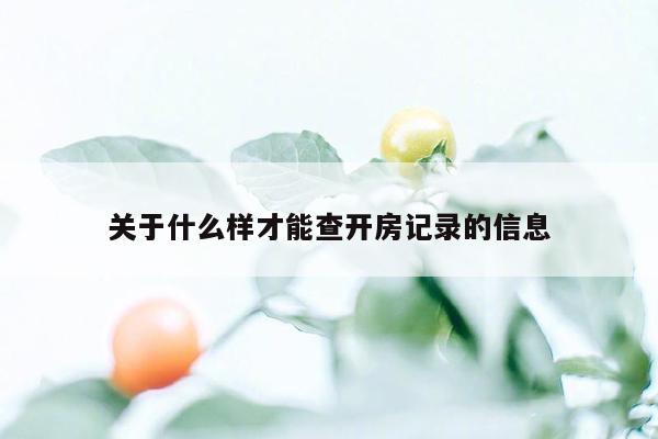 关于什么样才能查开房记录的信息