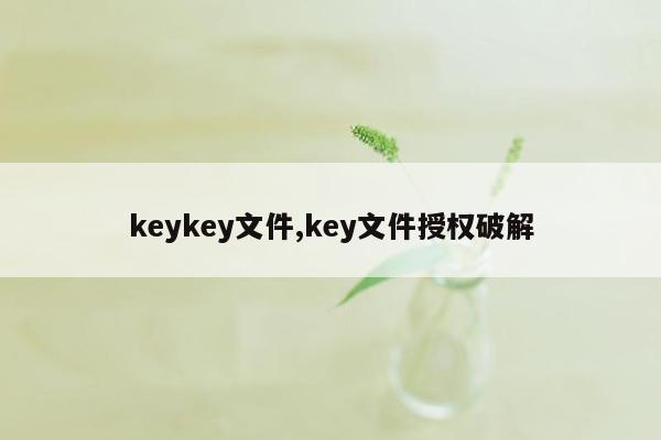 keykey文件,key文件授权破解