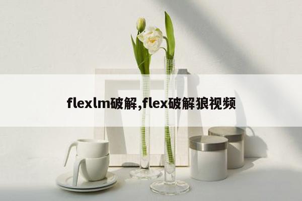 flexlm破解,flex破解狼视频