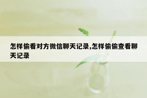 怎样偷看对方微信聊天记录,怎样偷偷查看聊天记录