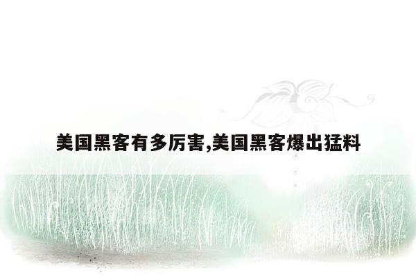 美国黑客有多厉害,美国黑客爆出猛料