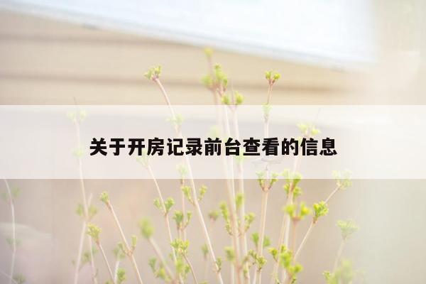 关于开房记录前台查看的信息