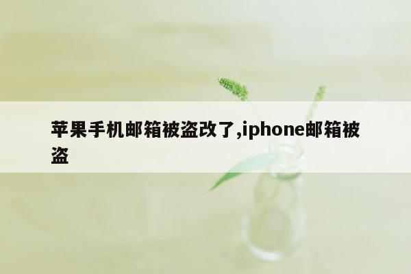 苹果手机邮箱被盗改了,iphone邮箱被盗