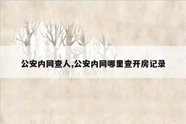 公安内网查人,公安内网哪里查开房记录