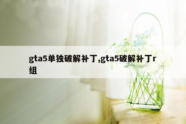 gta5单独破解补丁,gta5破解补丁r组