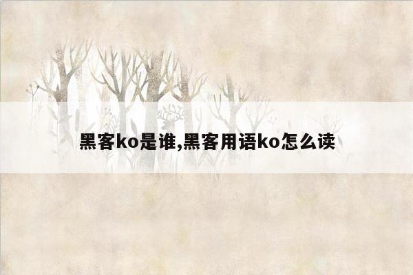 黑客ko是谁,黑客用语ko怎么读