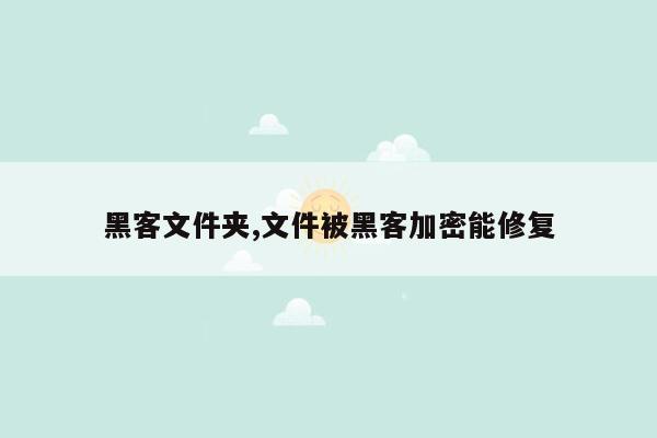 黑客文件夹,文件被黑客加密能修复