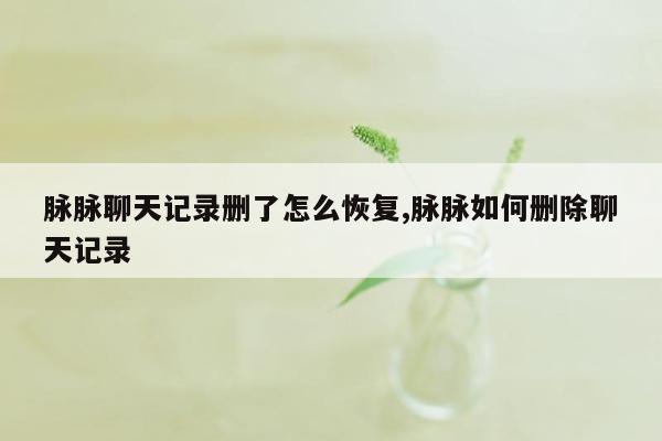 脉脉聊天记录删了怎么恢复,脉脉如何删除聊天记录