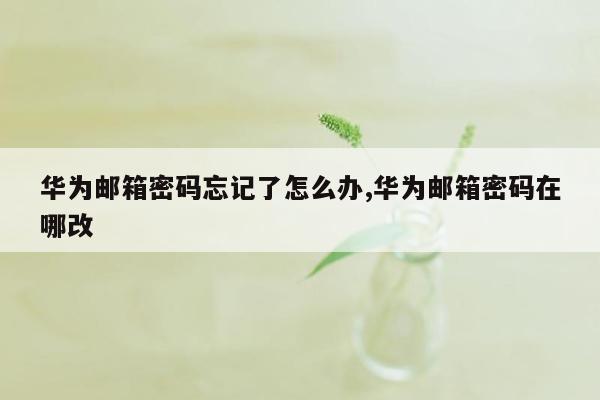 华为邮箱密码忘记了怎么办,华为邮箱密码在哪改