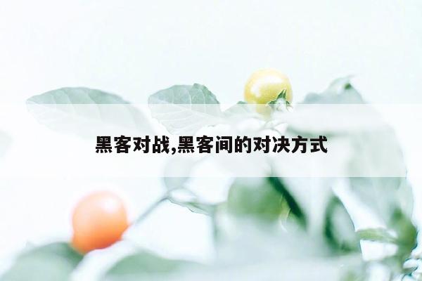 黑客对战,黑客间的对决方式